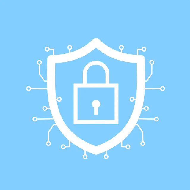 domains 1