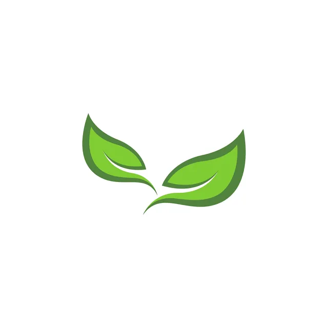 logo brandauer kl